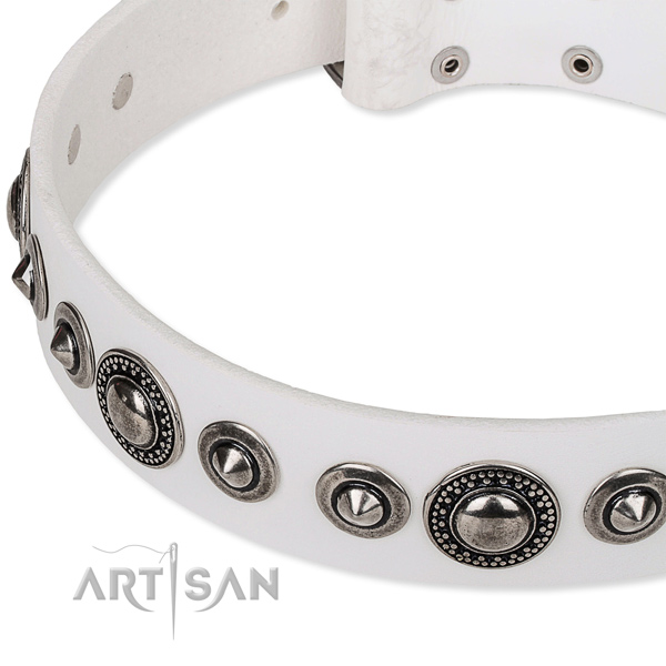 Stylish walking embellished dog collar of fine quality full grain leather