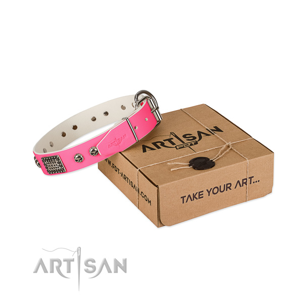 Rust resistant studs on dog collar for comfy wearing