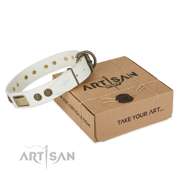 Rust-proof D-ring on leather dog collar for walking