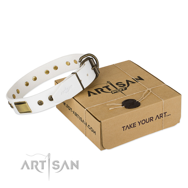 Impressive natural genuine leather collar for your impressive canine
