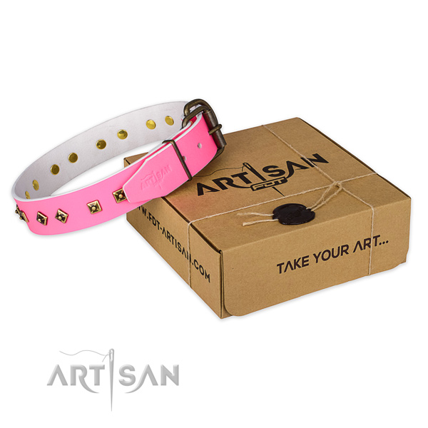 Rust-proof hardware on genuine leather dog collar for everyday use