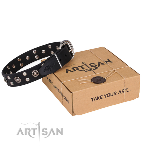 Daily walking dog collar with Trendy strong studs