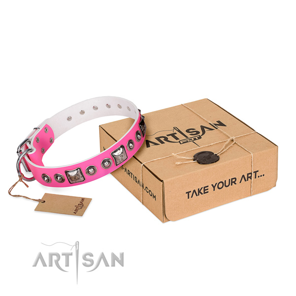 Strong full grain natural leather dog collar created for basic training