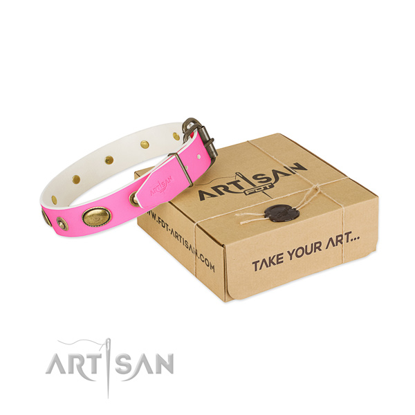 Decorated leather collar for your attractive canine