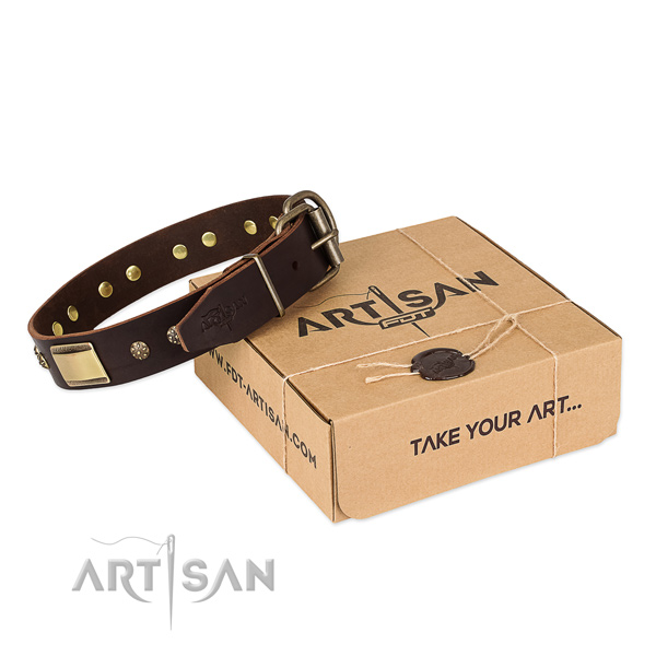 Convenient full grain leather collar for your impressive canine