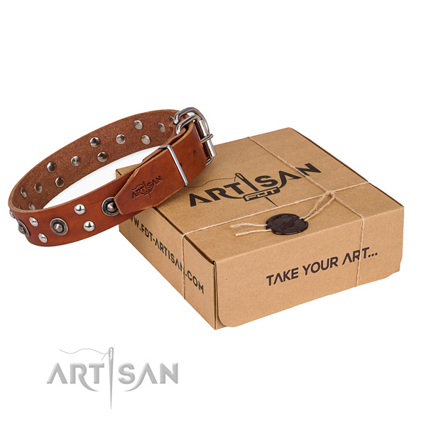 Strong buckle on genuine leather collar for your handsome canine