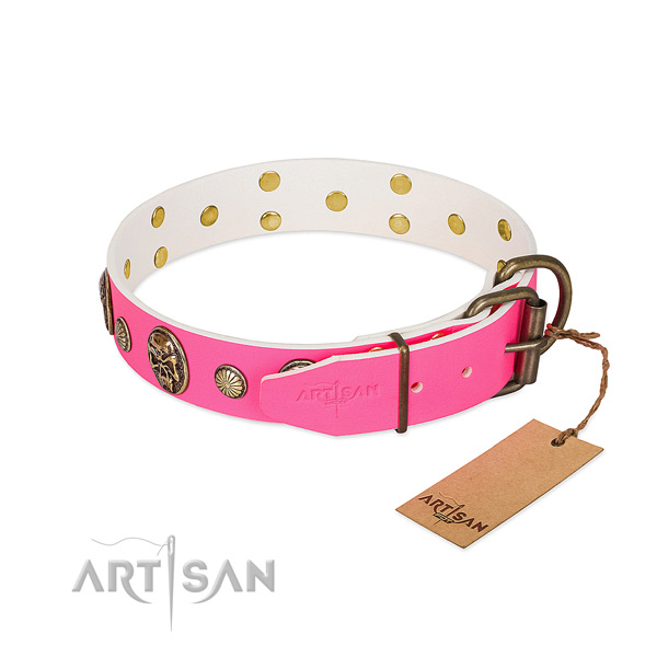 Reliable fittings on leather dog collar for your dog