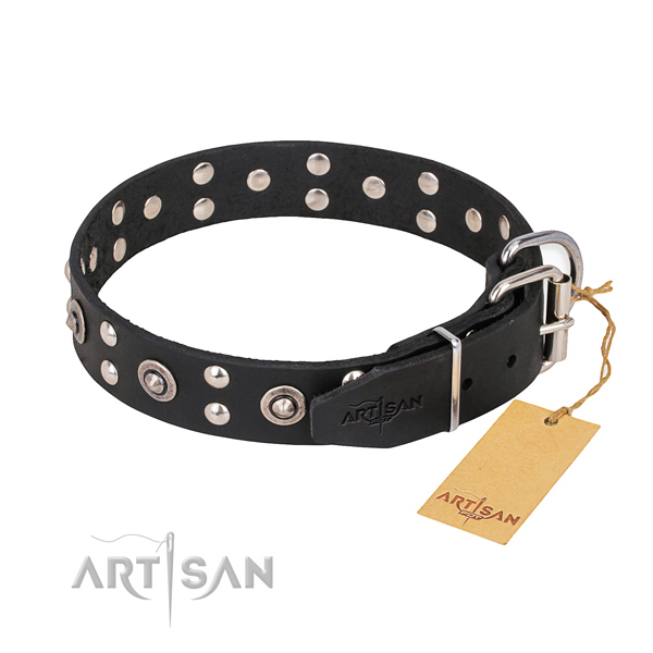 Natural leather dog collar with stylish corrosion proof embellishments