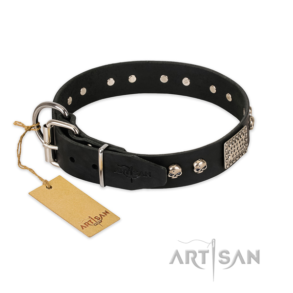 Rust resistant embellishments on everyday walking dog collar