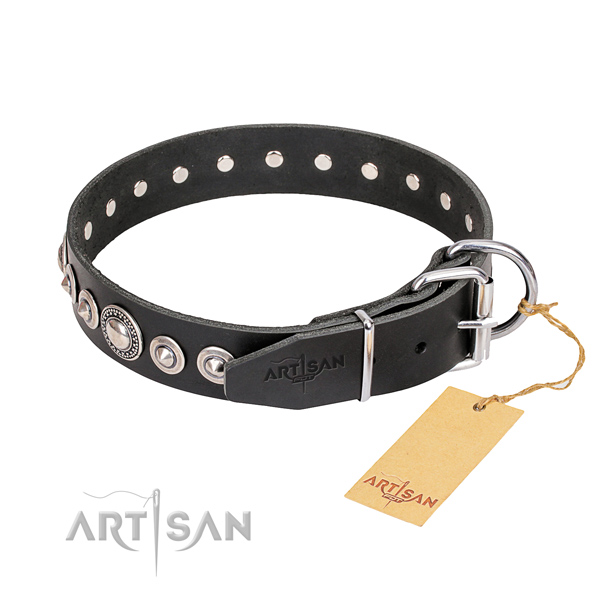 Top notch decorated dog collar of leather