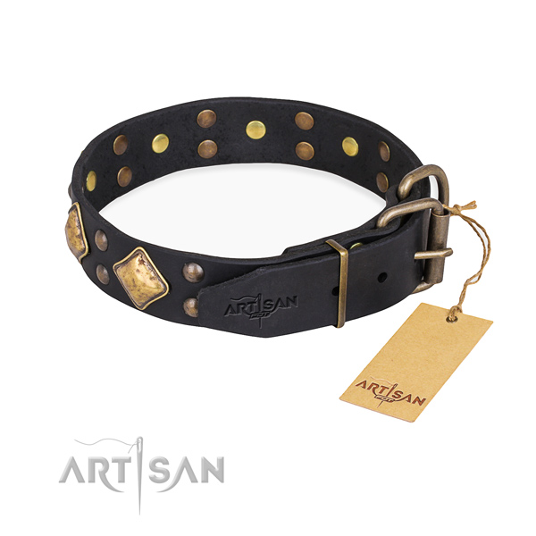 Genuine leather dog collar with remarkable corrosion resistant embellishments