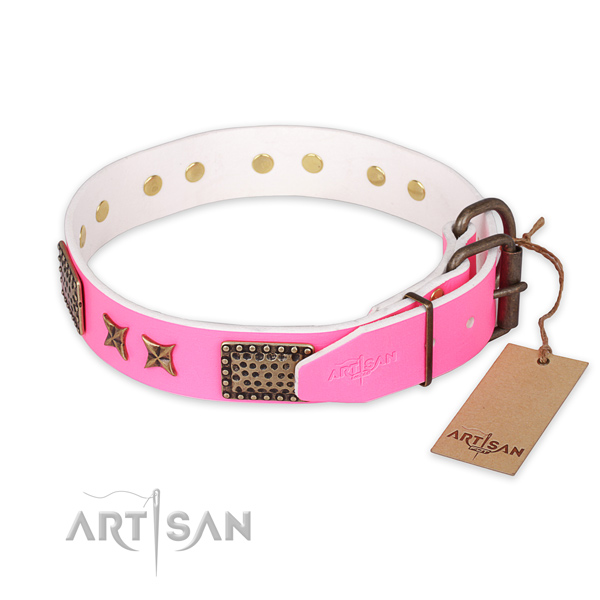 Strong traditional buckle on full grain leather collar for your attractive four-legged friend