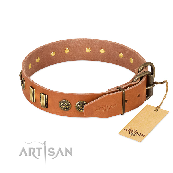 Strong adornments on leather dog collar for your canine