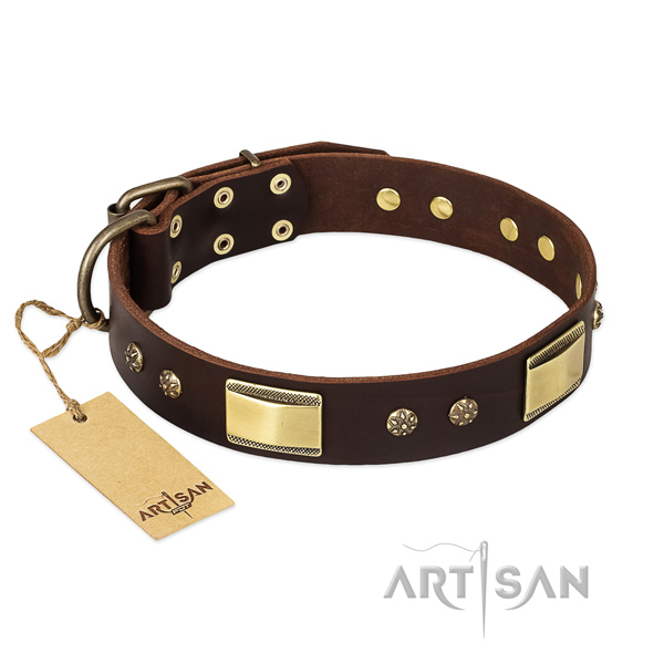 Full grain genuine leather dog collar with corrosion resistant D-ring and adornments