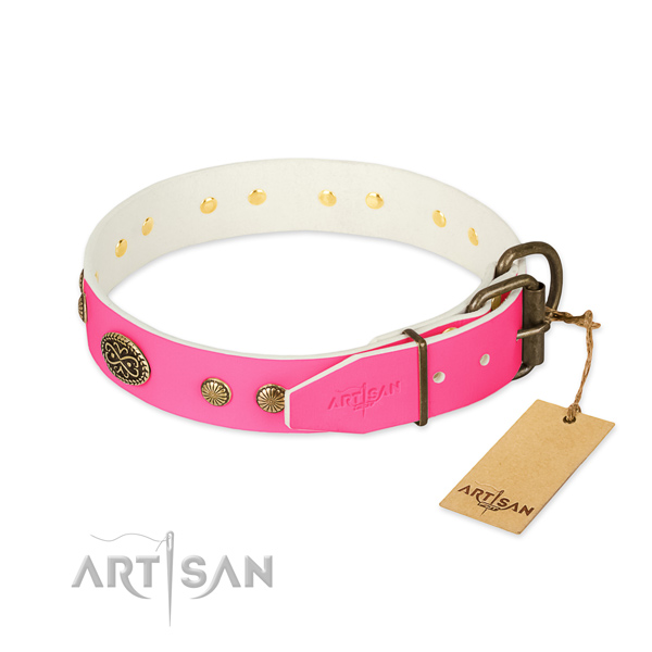 Corrosion proof embellishments on full grain natural leather dog collar for your canine