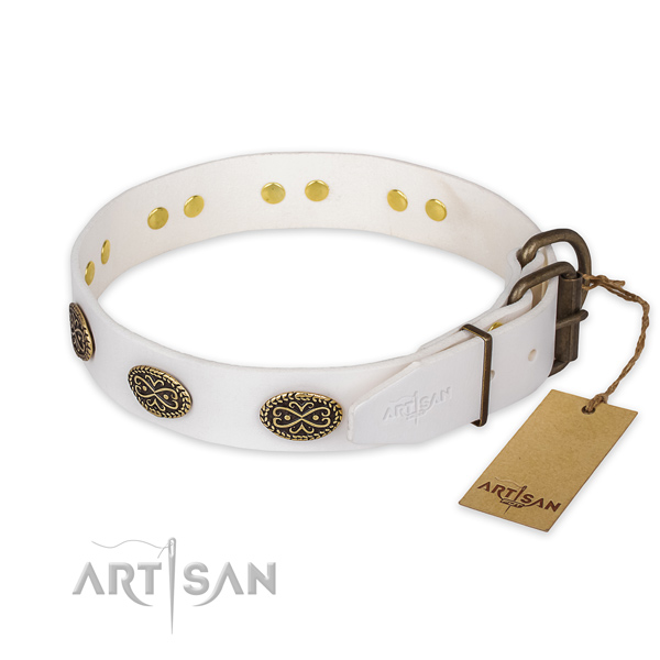 Reliable traditional buckle on leather collar for stylish walking your pet