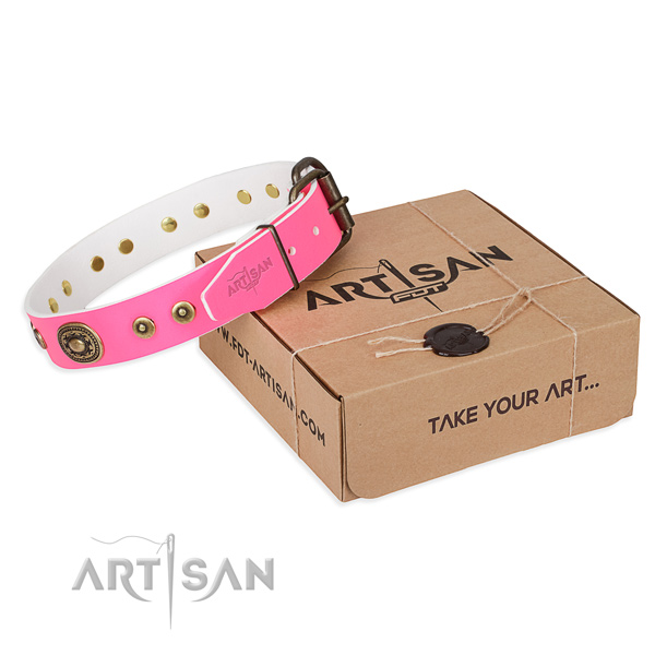 Leather dog collar made of quality material with corrosion resistant buckle