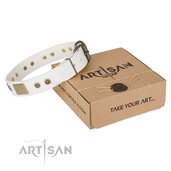 Designer leather collar for your lovely canine