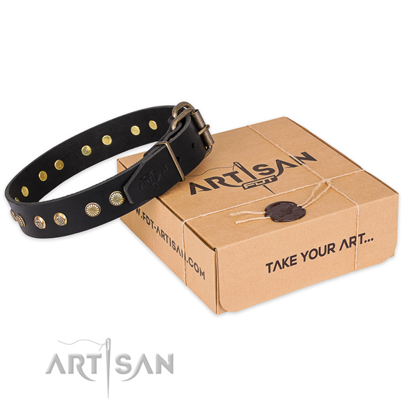 Rust resistant fittings on full grain natural leather collar for your attractive four-legged friend