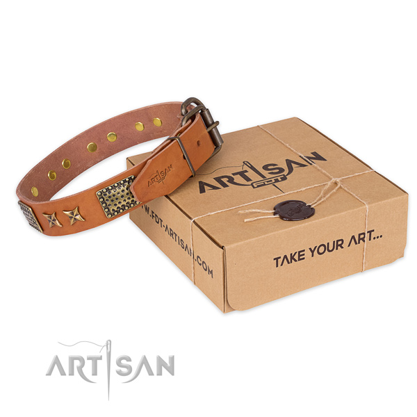 Rust resistant fittings on leather collar for your beautiful doggie