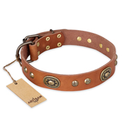 "Stunning Dress" FDT Artisan Tan Leather Siberian Husky Collar with Old Bronze Look Plates and Studs