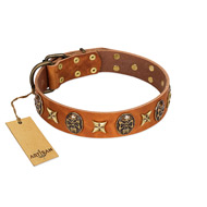 "Rockin' Doggie" FDT Artisan Tan Leather Siberian Husky Collar Adorned with Stars and Skulls