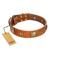 "Celtic Tunes" FDT Artisan Tan Leather Siberian Husky Collar Adorned with Stars and Squares