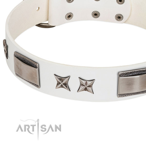 High quality genuine leather dog collar with corrosion proof fittings