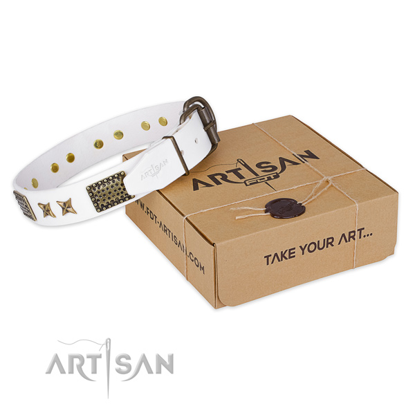 Corrosion resistant traditional buckle on genuine leather collar for your impressive canine
