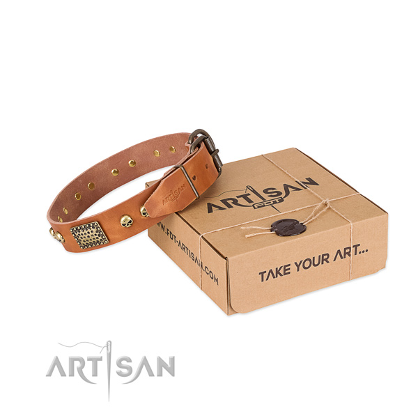 Rust resistant traditional buckle on dog collar for everyday walking