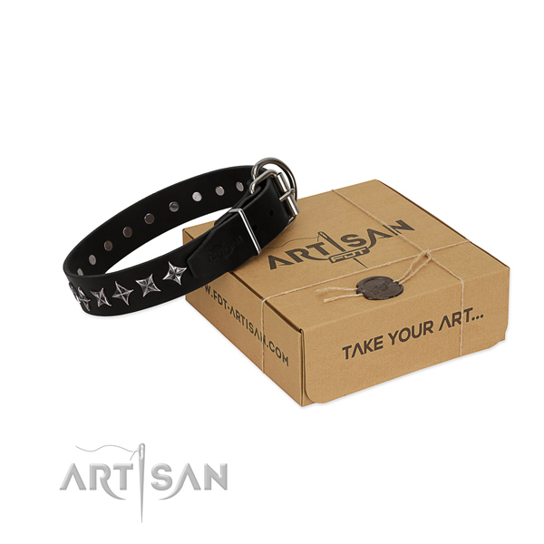 Daily walking dog collar of high quality full grain natural leather with studs