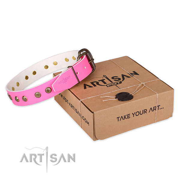 Corrosion resistant buckle on natural genuine leather collar for your stylish four-legged friend