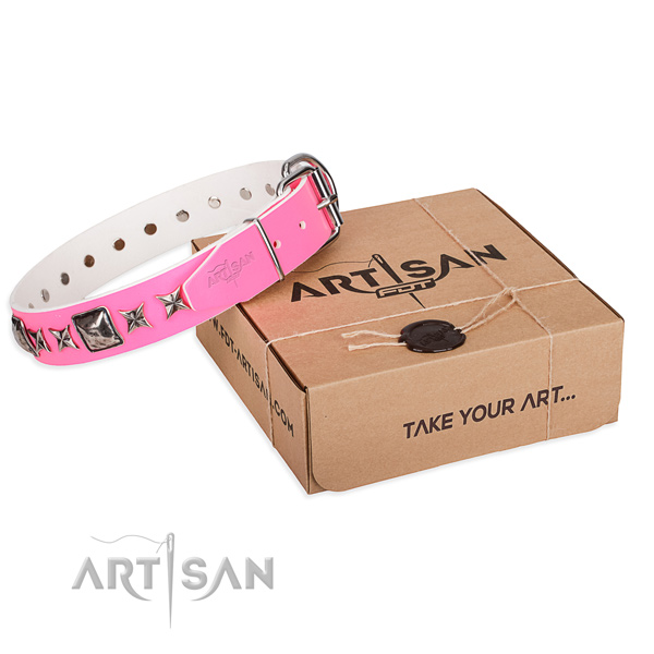 Fancy walking full grain leather dog collar with decorations