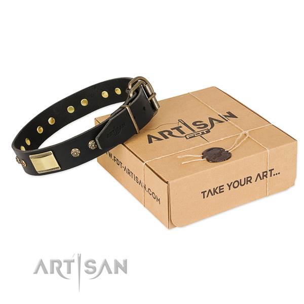 Incredible genuine leather collar for your impressive dog