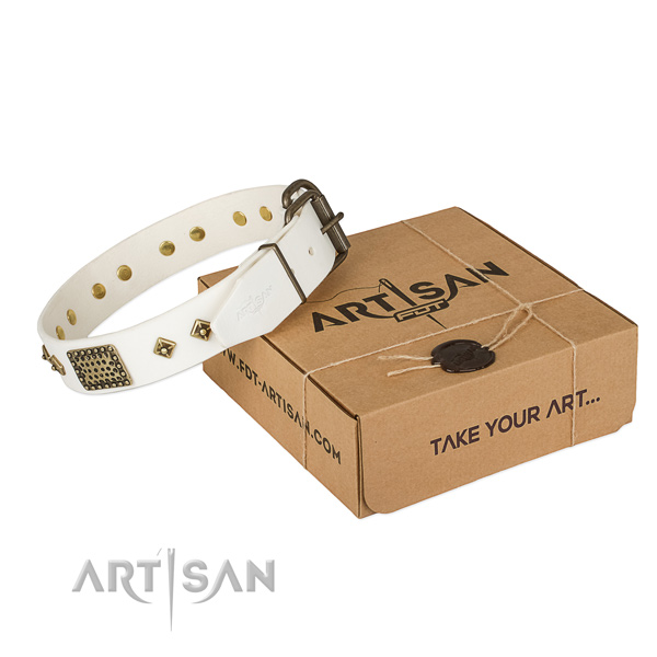Unique genuine leather collar for your impressive canine