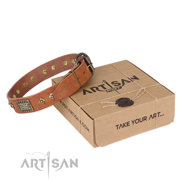 Significant genuine leather collar for your lovely doggie