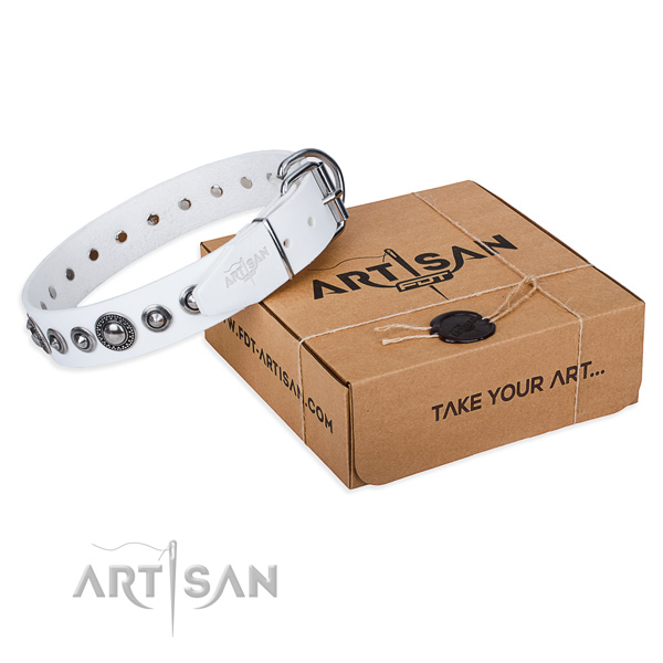 Full grain leather dog collar made of top rate material with reliable traditional buckle