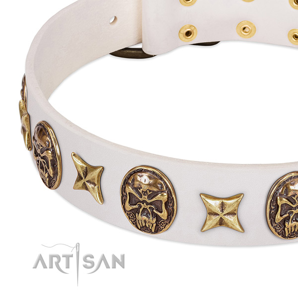 Handcrafted dog collar crafted for your stylish pet