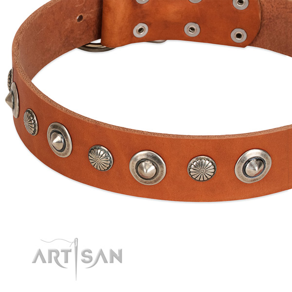 Leather collar with corrosion resistant fittings for your impressive dog