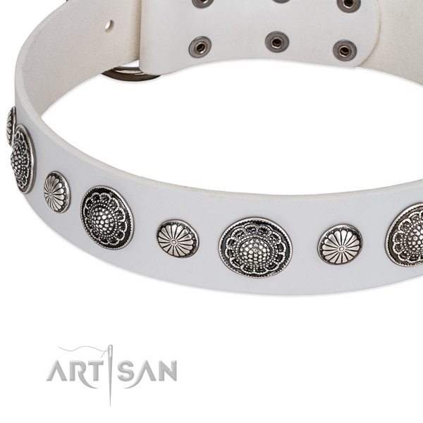 Full grain leather collar with strong hardware for your handsome dog