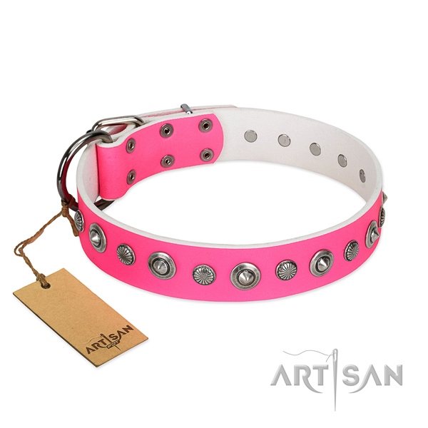 Finest quality natural leather dog collar with stylish design studs