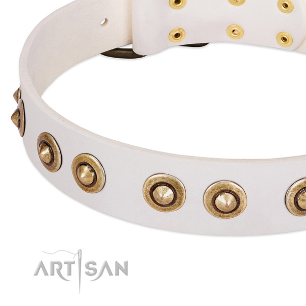 Rust-proof adornments on genuine leather dog collar for your canine