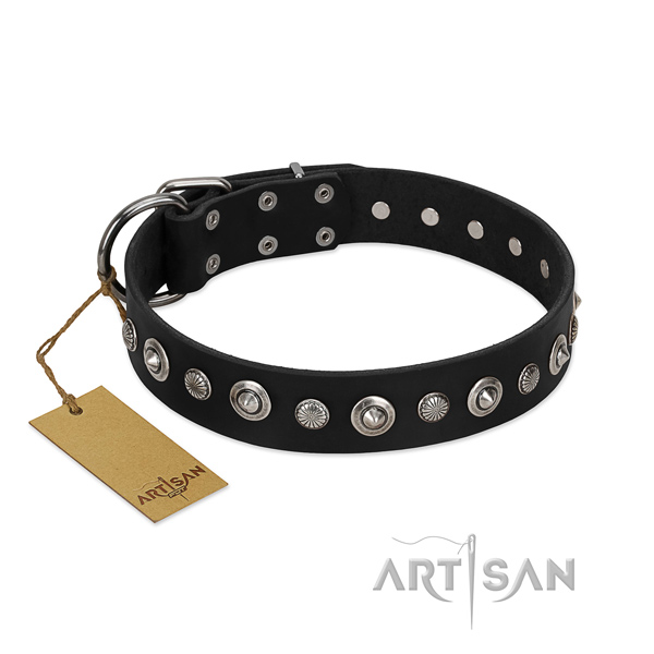 Top notch natural leather dog collar with designer adornments