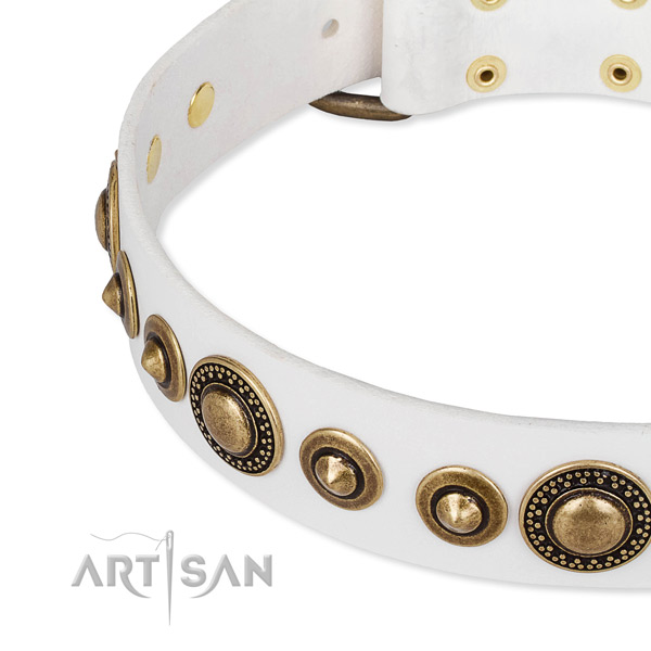 Best quality full grain natural leather dog collar crafted for your attractive doggie