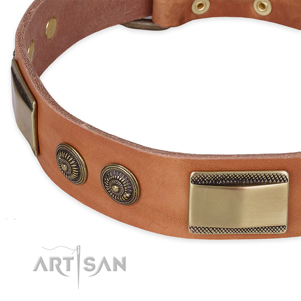 Significant full grain natural leather collar for your attractive canine