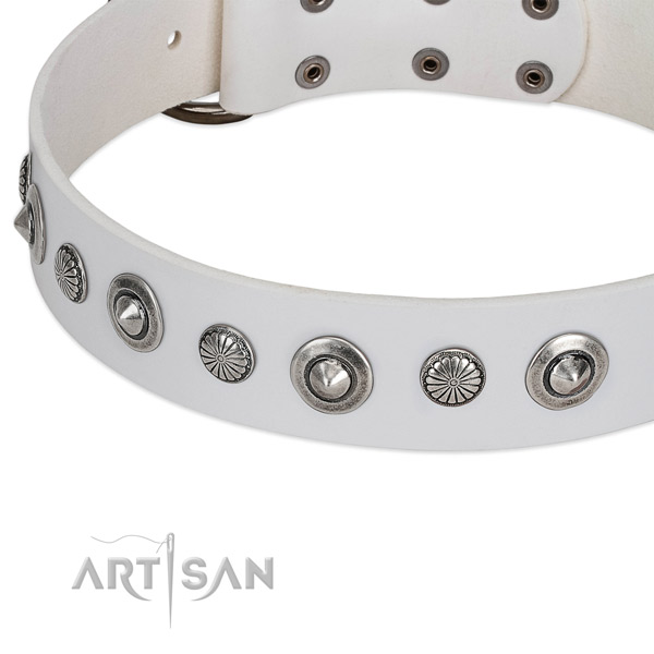 Natural leather collar with rust resistant fittings for your handsome doggie
