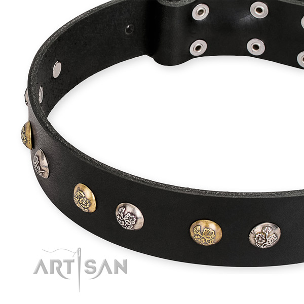Leather dog collar with exceptional reliable decorations