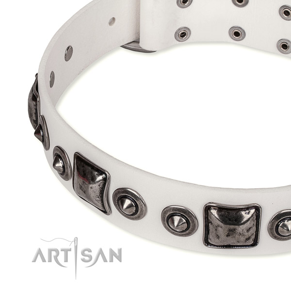 Reliable full grain genuine leather dog collar crafted for your stylish canine