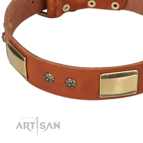 Reliable adornments on full grain natural leather dog collar for your canine