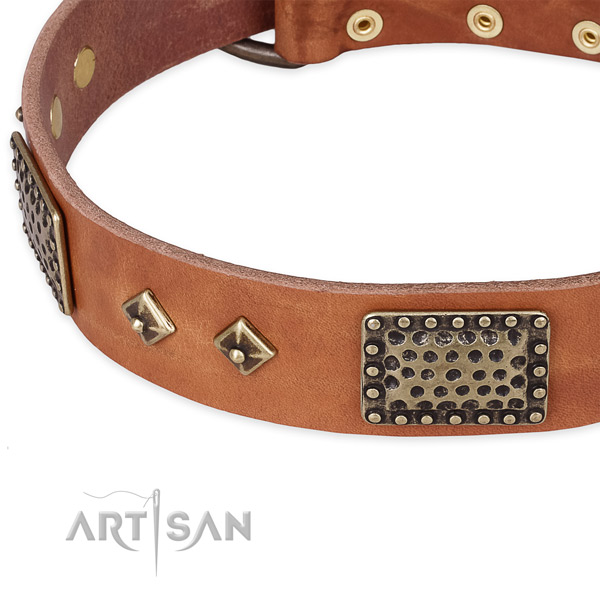 Rust resistant decorations on natural leather dog collar for your four-legged friend